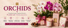 Orchids