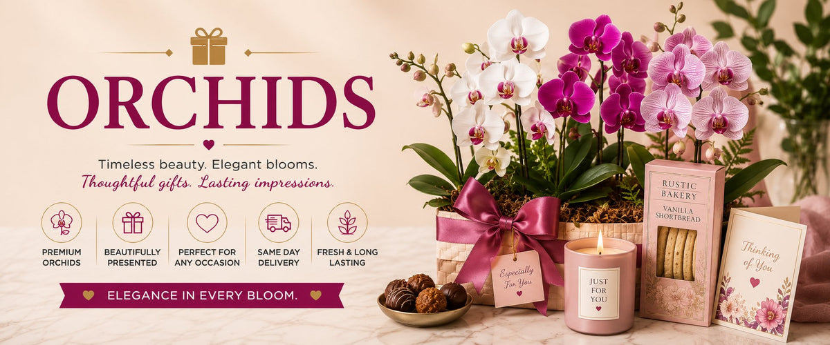 Orchids