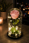 Enchanted Preserved Pink Rose in Glass Dome