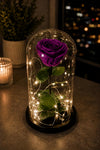 Enchanted Preserved Purple Rose in Glass Dome