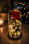 Enchanted Preserved Red Rose in Glass Dome
