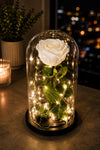 Enchanted Preserved White Rose in Glass Dome