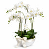 Four White Orchids Arrangement