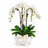 Three White Phalaenopsis Orchid Arrangement